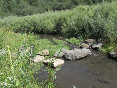 Coyote Creek State Park
