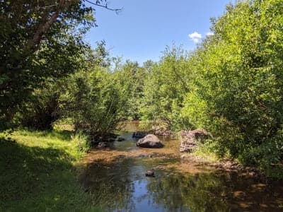 Coyote Creek State Park