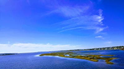 Croatan National Forest