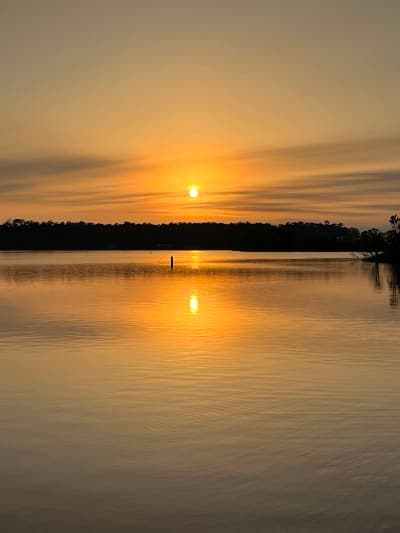 Croatan National Forest