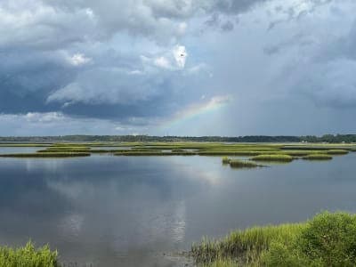 Croatan National Forest