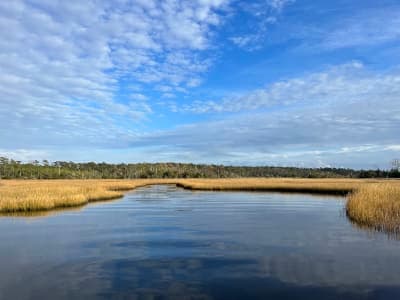 Croatan National Forest