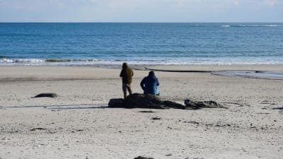 Crescent Beach State Park
