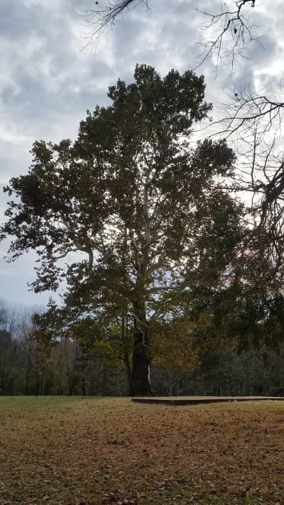 Crawford County State Fish & Wildlife Area