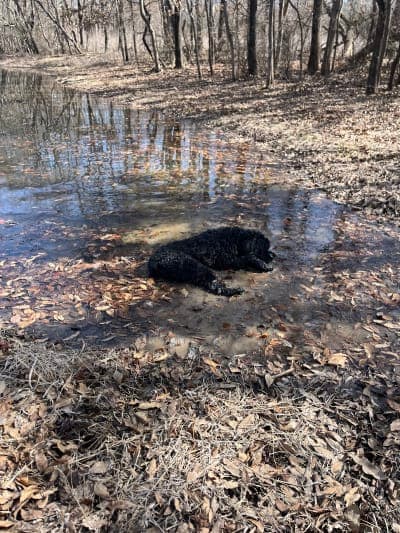 Crawford County State Fish & Wildlife Area
