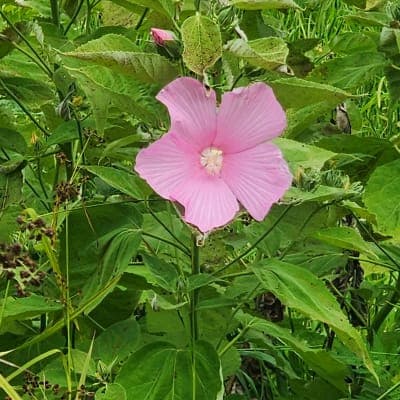 Crawford County State Fish & Wildlife Area