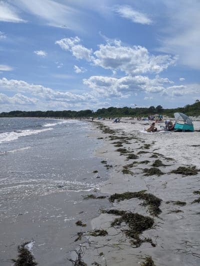Crescent Beach State Park