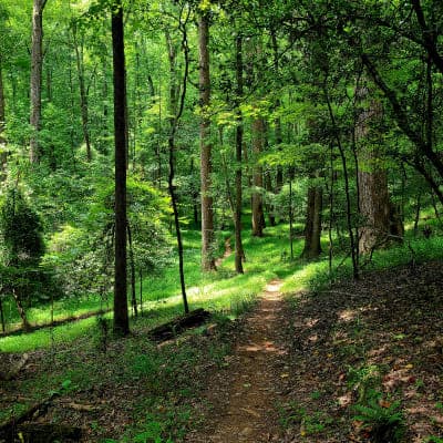 Croft State Park