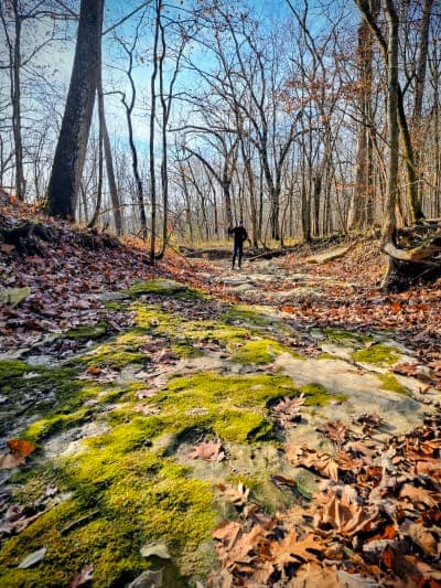 Cuivre River State Park