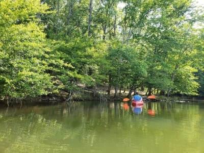 Croft State Park