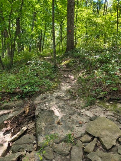 Crowder State Park