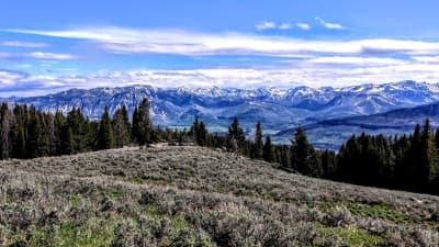 Custer Gallatin National Forest