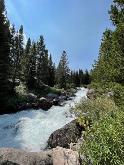 Custer Gallatin National Forest