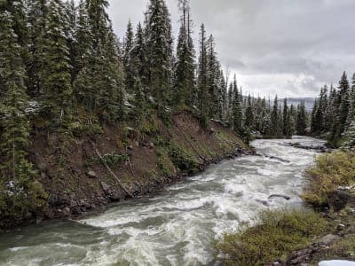 Custer Gallatin National Forest