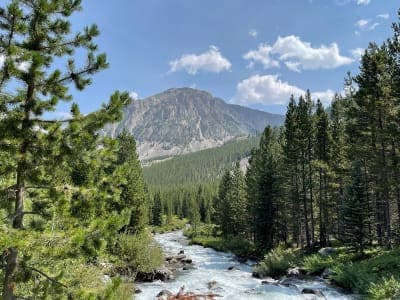 Custer Gallatin National Forest