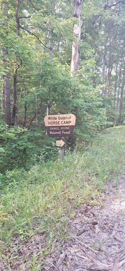 Daniel Boone National Forest – White Sulphur Horse Camp