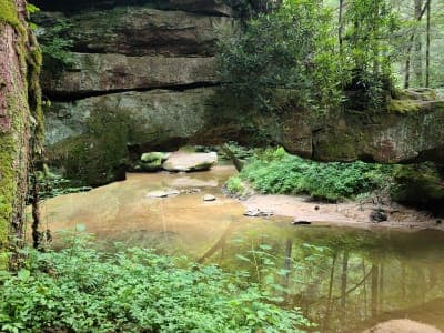 Daniel Boone National Forest