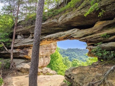 Daniel Boone National Forest