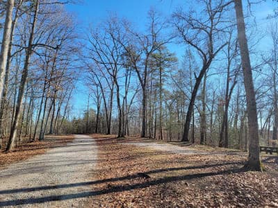 Daniel Boone National Forest – Little Lick Horse Camp