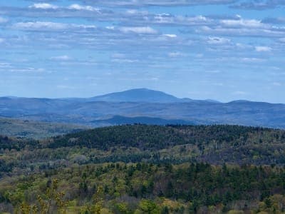Daughters of the American Revolution (DAR) State Forest