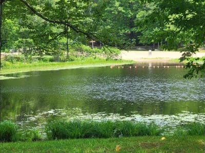 Day Pond State Park