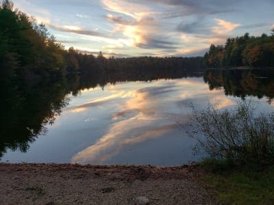 Daughters of the American Revolution (DAR) State Forest