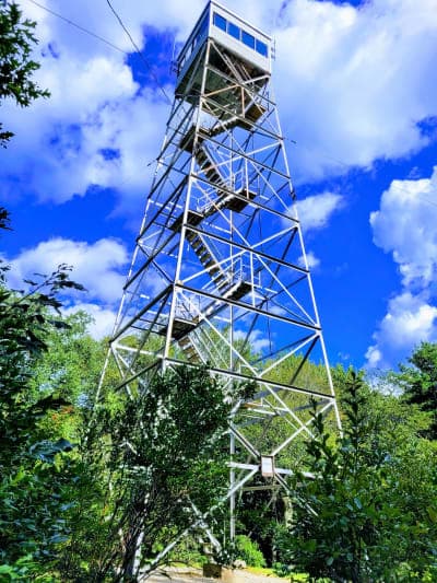 Daughters of the American Revolution (DAR) State Forest