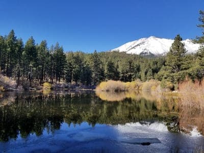 Davis Creek Regional Park
