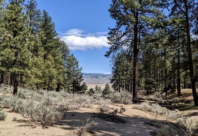 Davis Creek Regional Park