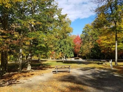 Darien Lakes State Park