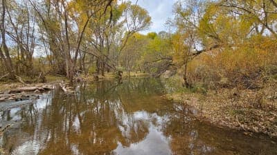 Dead Horse Ranch State Park