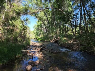 Dead Horse Ranch State Park