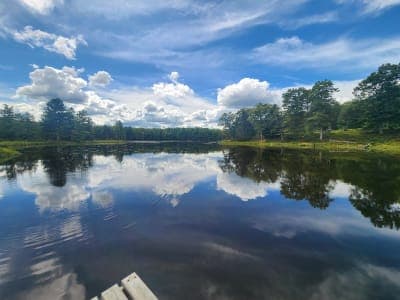 Delaware State Forest / Promised Land Tract