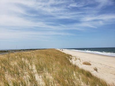 Delaware Seashore State Park