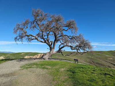 Del Valle Regional Park