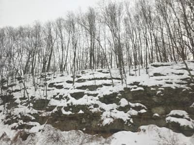 Delaware State Forest / Promised Land Tract