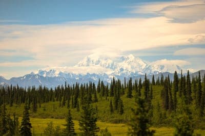 Denali National Park and Preserve