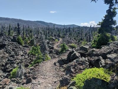 Deschutes National Forest
