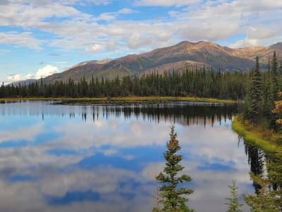 Denali National Park and Preserve