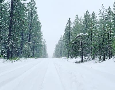 Deschutes National Forest