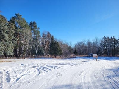 Denbigh Experimental Forest / Denbigh Trail
