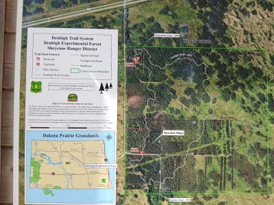 Denbigh Experimental Forest / Denbigh Trail