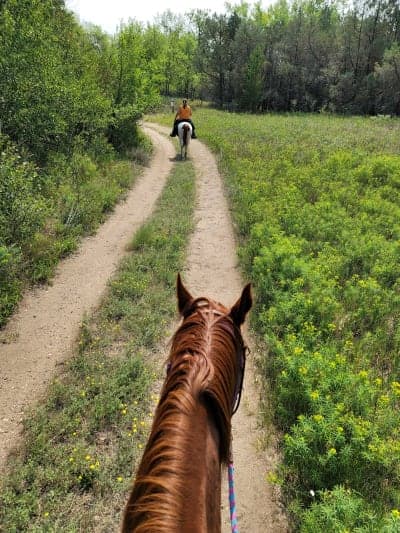 Denbigh Experimental Forest / Denbigh Trail