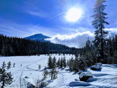 Deschutes National Forest