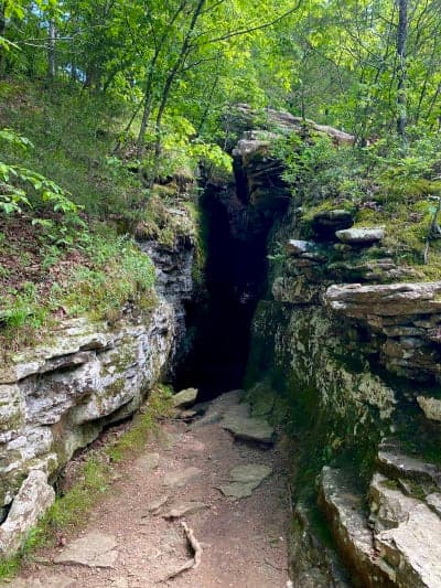 Devil's Den State Park