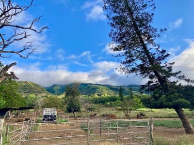 Dillingham Ranch Equestrian Center