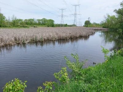Des Plaines State Fish & Wildlife Area