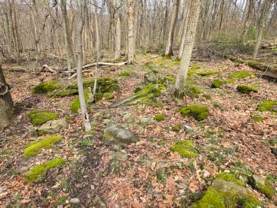 Dillon State Park