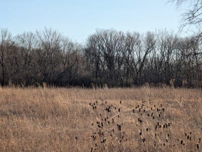 Des Plaines State Fish & Wildlife Area