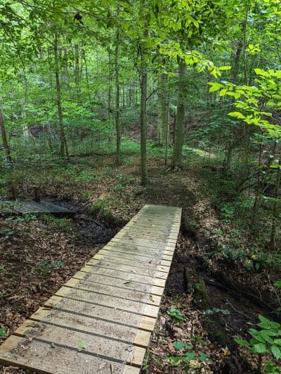 Dillon State Park